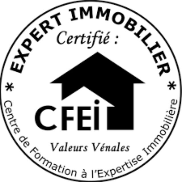 CFEI logo